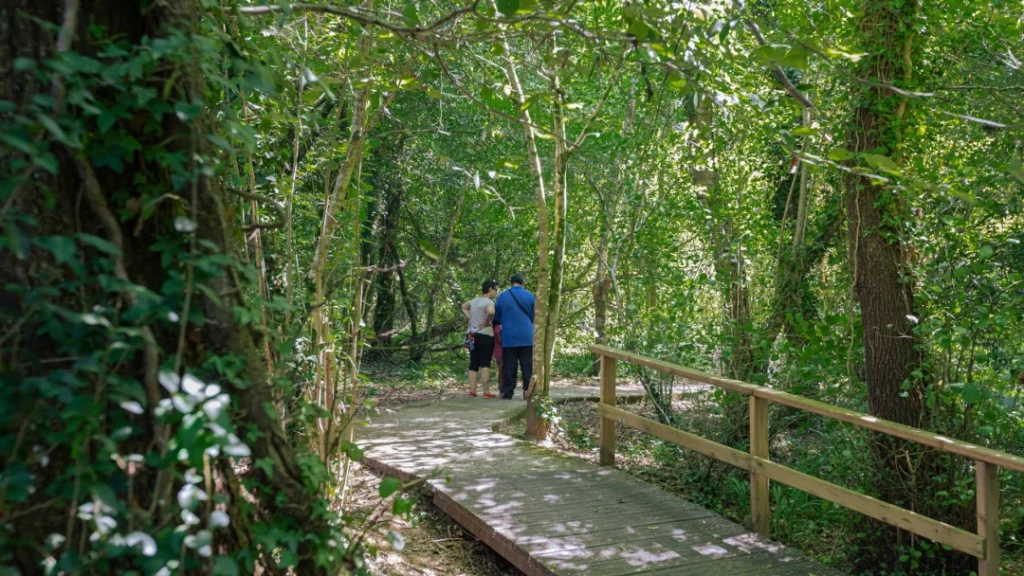 Paseo Fluvial (San Sadurniño)