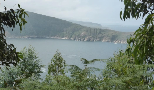Camiño do Mar